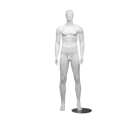 Fibreglass Abstract Male Mannequin